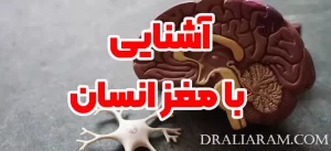 آشنایی با مغز انسان - دکتر علی آرام