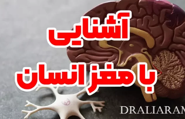 آشنایی با مغز انسان - دکتر علی آرام