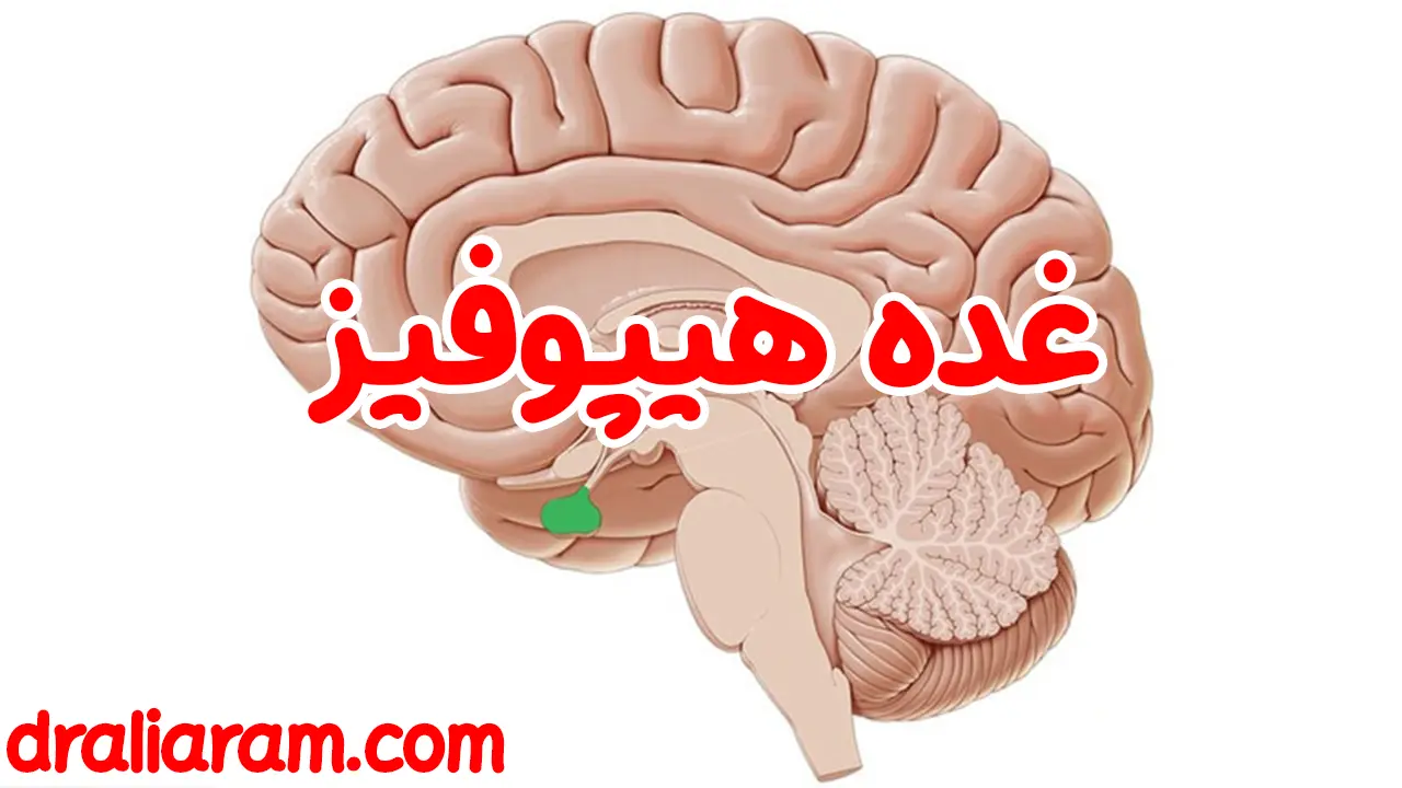 غده هیپوفیز