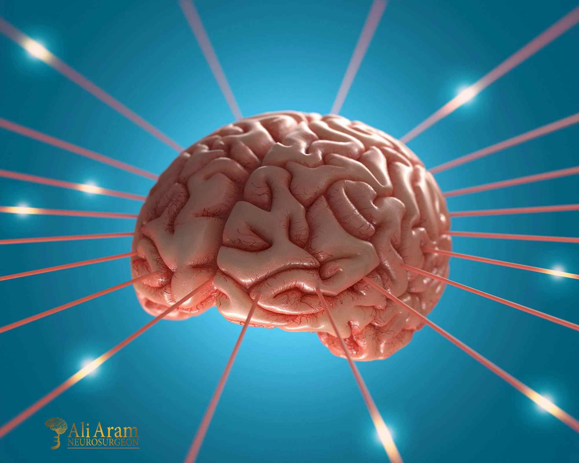 روش‌های پیشگیری و درمان آتروفی مغزی
